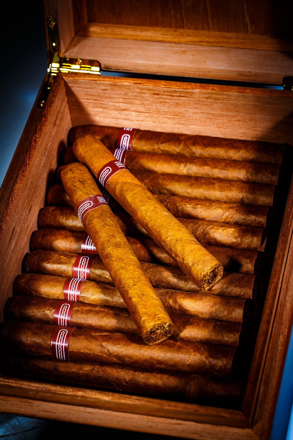 Cigars in their original factory box