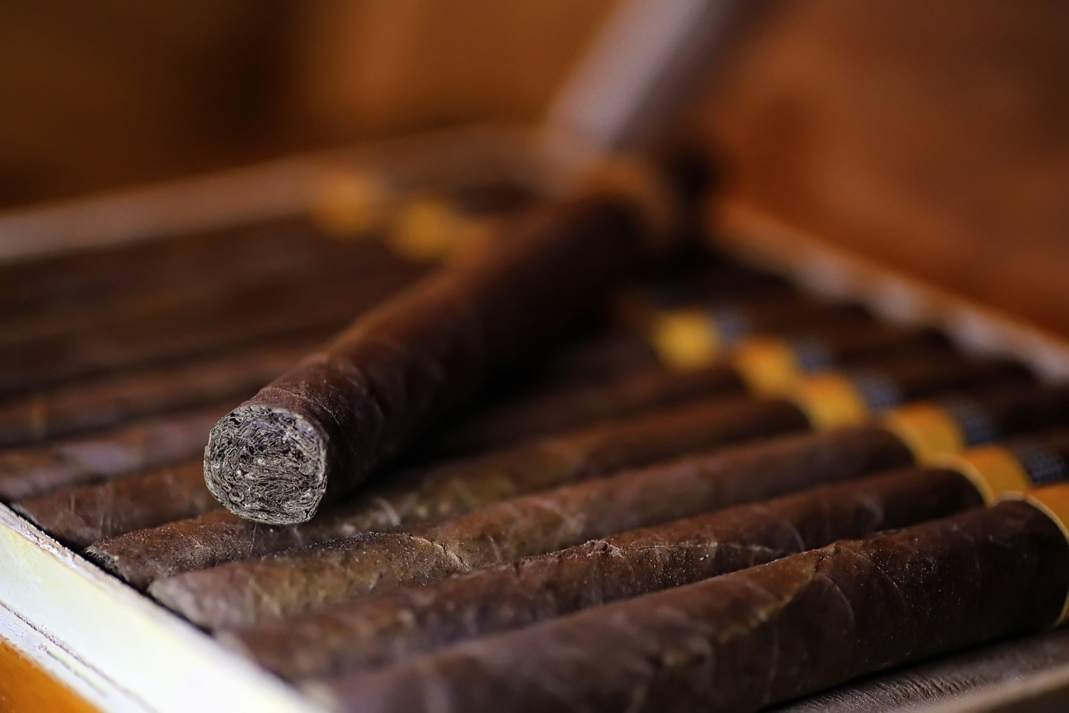 A cigar with white crystals referred as "plume or bloom" on the surface