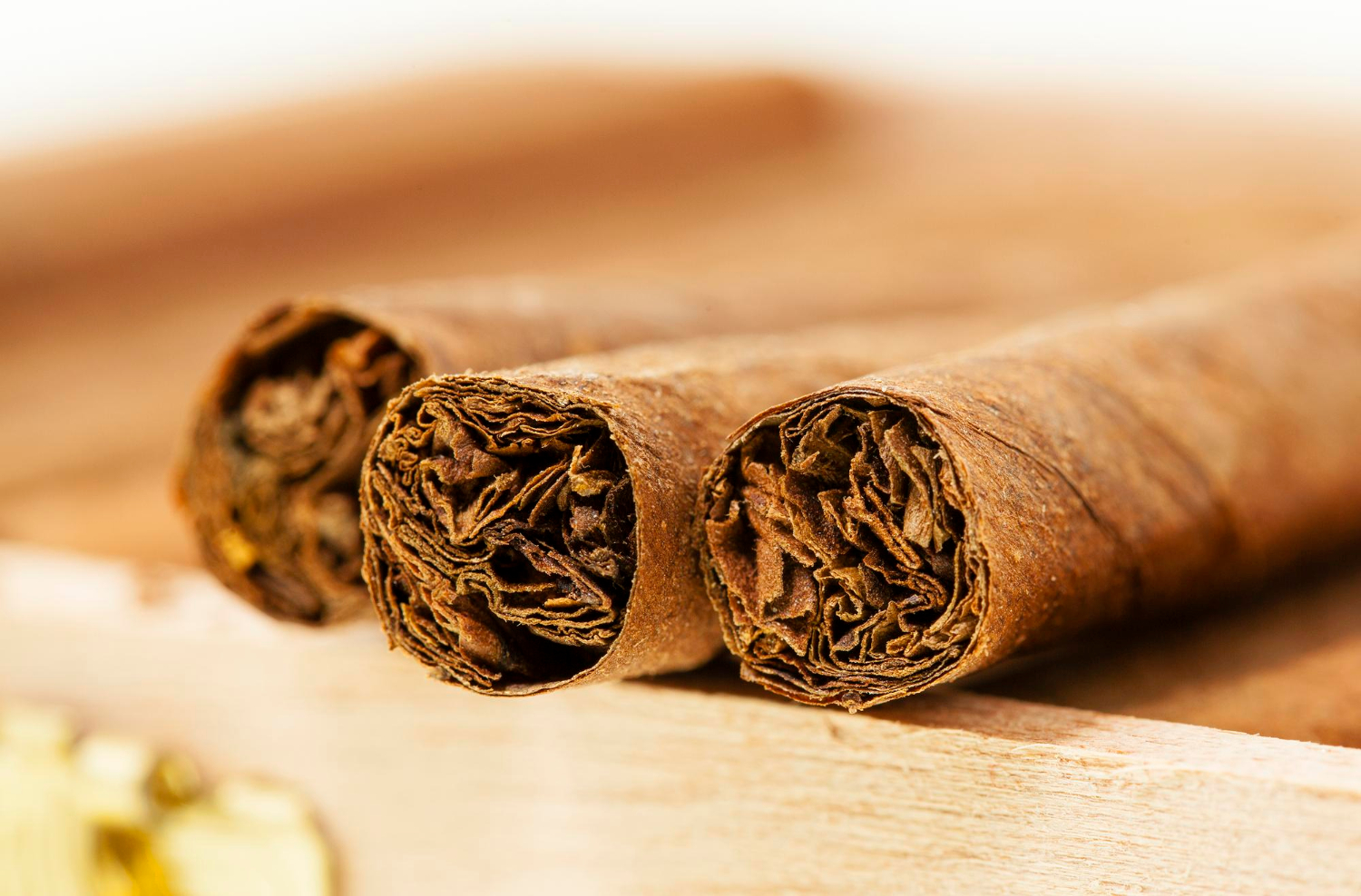 Machine-made cigars cause bad breath