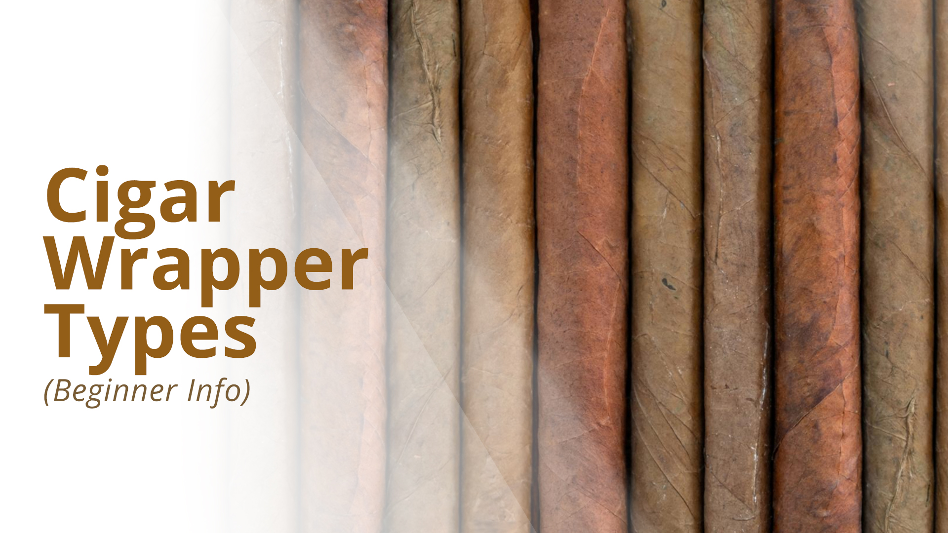Cigar wrapper types