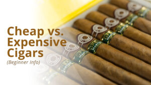 Cheap vs. expensive cigars