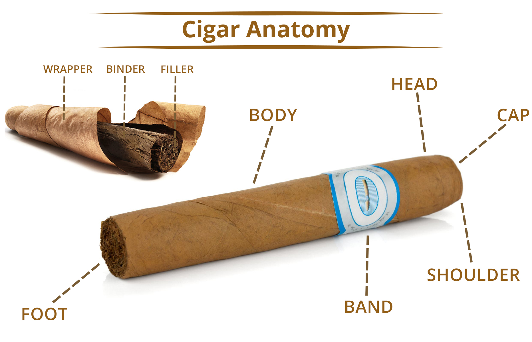 All parts of a handmade cigar